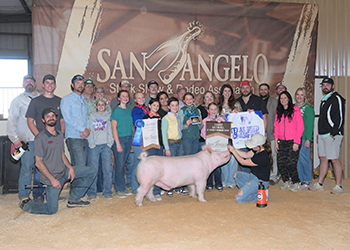 3rd Overall Barrow
Champion Yorkshire 
2026 San Angelo Stock Show